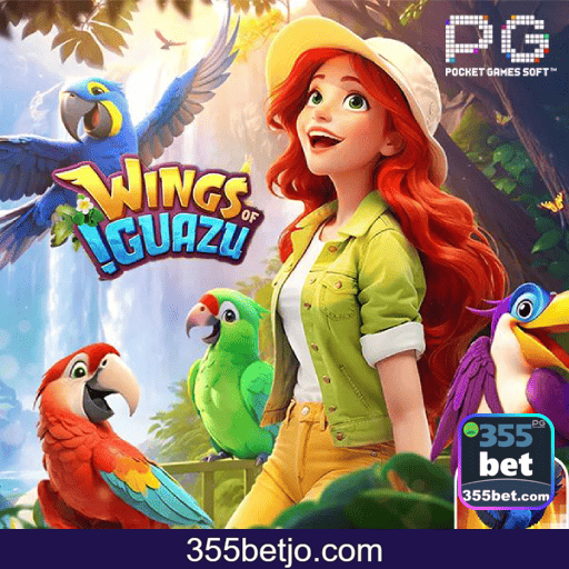 Imagem promocional do cadastro da 355BET